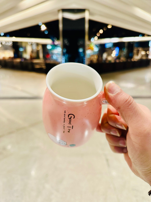 ماگ گربه ای در چوبی