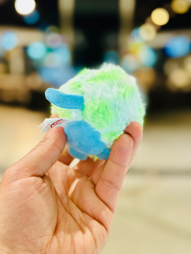 گربه چشم تیله ای