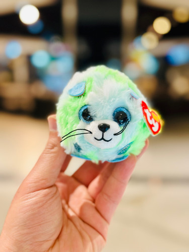 عروسک گربه چشم تیله ای