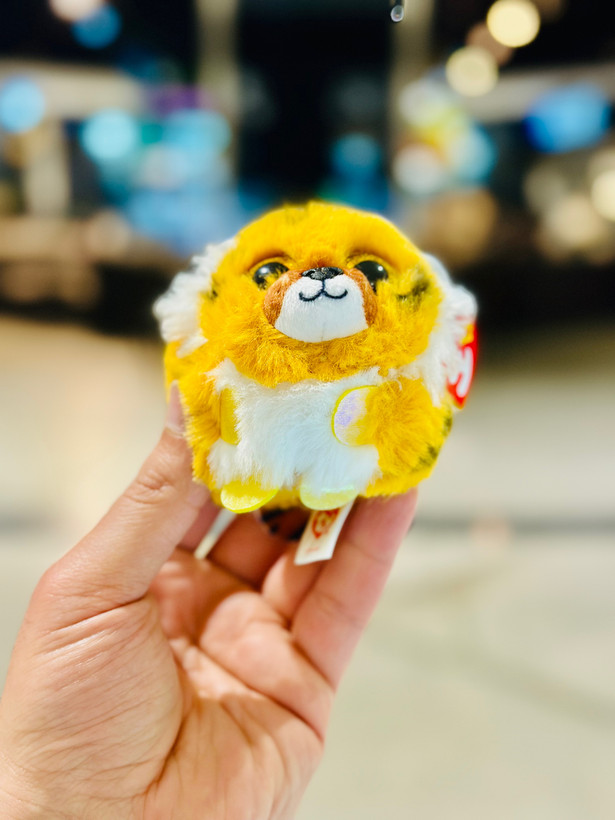 عروسک تی وای